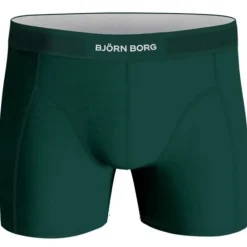 Björn Borg Lyocell Boxer 2-Pack Boxershorts Sort / Grøn