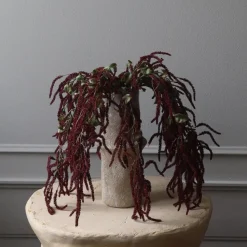 Botané Studios Amaranthus Cruentus Flower Red
