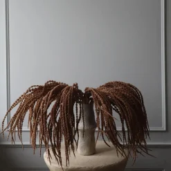 Botané Studios Amaranthus Caudatus 'Dreadlocks' Flower Light Brown