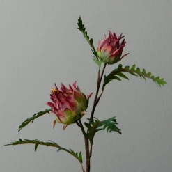 Botané Studios Artichoke Branch Red