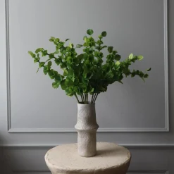 Botané Studios Bells Of Ireland Flower Green