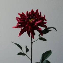 Botané Studios Cactus Dahlia Flower Red