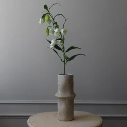 Botané Studios Chinese Lantern Lily Flower White