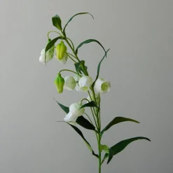 Botané Studios Chinese Lantern Lily Flower White