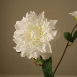 Botané Studios Dahlia Flower White