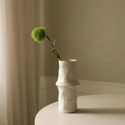 Botané Studios Dianthus Barbatus "Green Ball" Flower Green