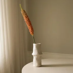 Botané Studios Eremurus Large Foxtail Lily Orange