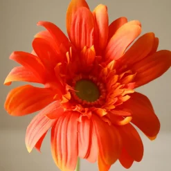 Botané Studios Gerbera Daisy Flower Orange