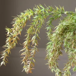 Botané Studios Hanging Branch With Leaves Light Green