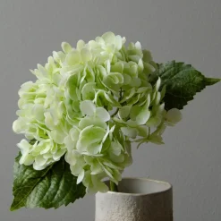 Botané Studios Hydrangea Flower Light Green
