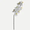 Botané Studios Large Orchid Flower White