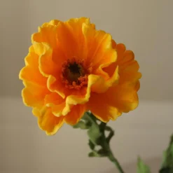 Botané Studios Large Poppy Flower Yellow