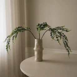 Botané Studios Parvifolia 'Gunni' Eucalyptus Leave Green