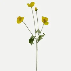 Botané Studios Poppy Flower Yellow