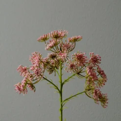 Botané Studios Queen Anne's Lace Flower Pink