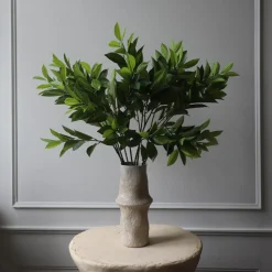 Botané Studios Ruscus Leave Green