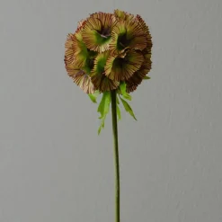 Botané Studios Scabiosa Seed Pod Flower Purple