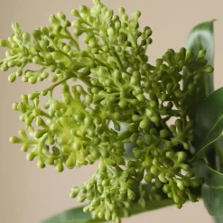 Botané Studios Skimmia Berry Branch Green