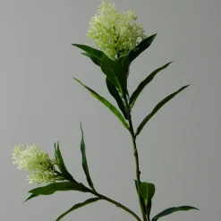 Botané Studios Skimmia Berry Branch White