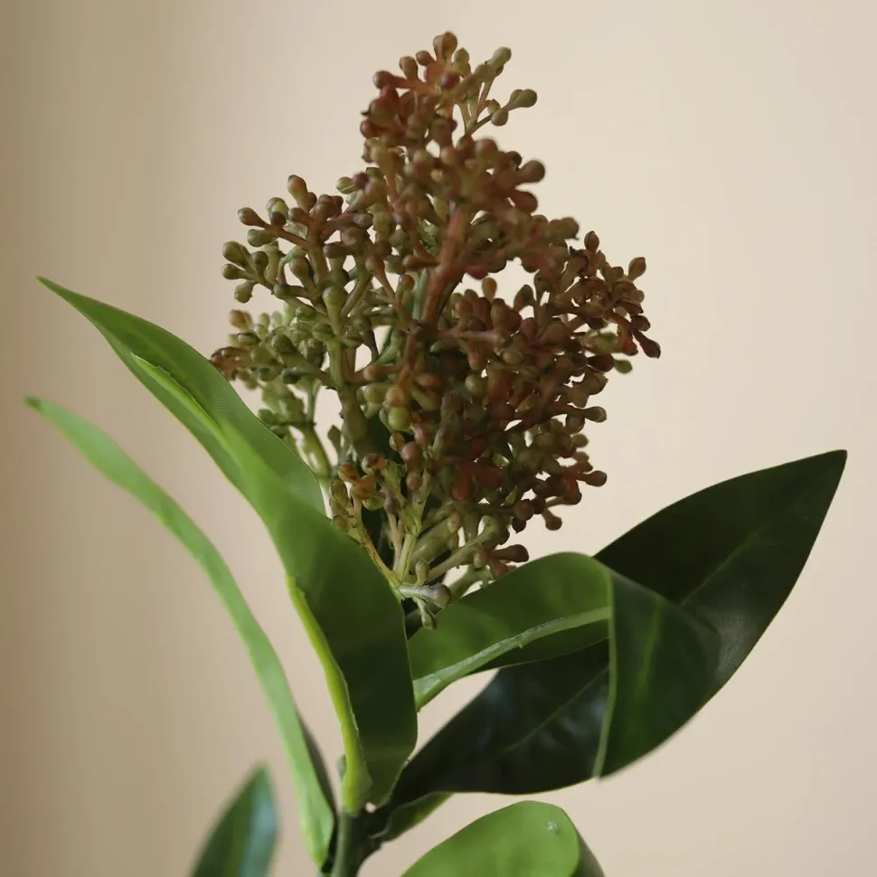 Botané Studios Skimmia Berry Branch Rose