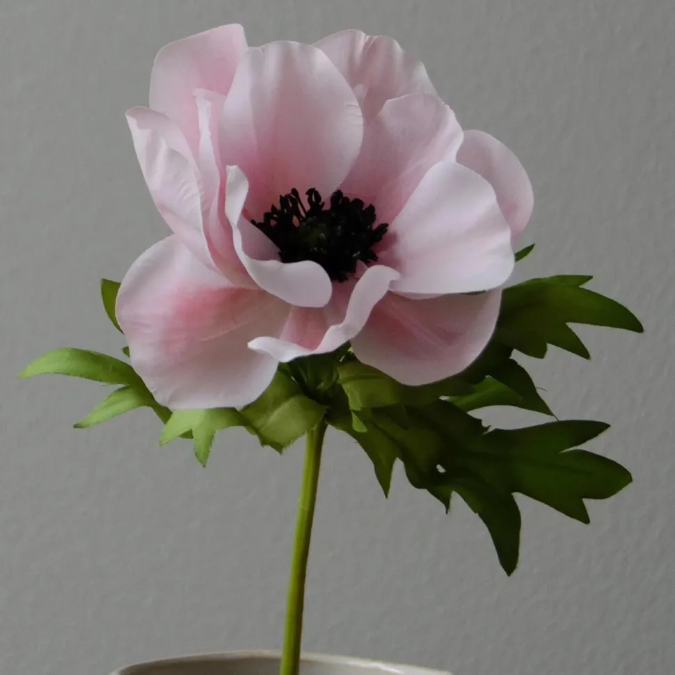 Botané Studios Small Anemone Flower Pink