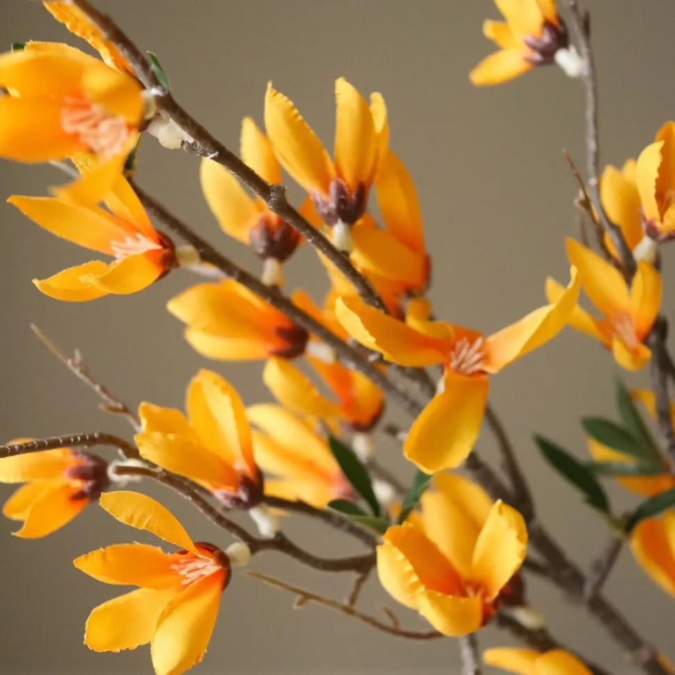 Botané Studios Star Magnolia Branch Yellow