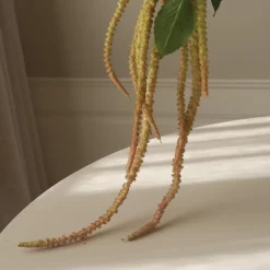 Botané Studios Three Forks Amaranthus Flower Light Green