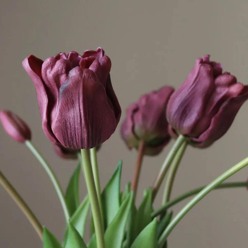 Botané Studios Triumpf Tulip Purple (5 pieces)