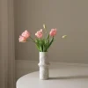 Botané Studios Triumpf Tulip Light Pink (5 pieces)