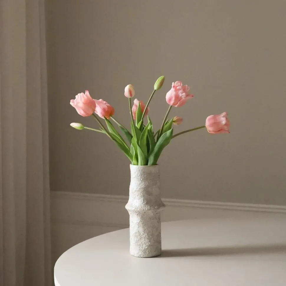 Botané Studios Triumpf Tulip Light Pink (5 pieces)