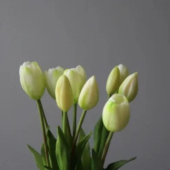 Botané Studios Tulip Bundle White (5 pieces)