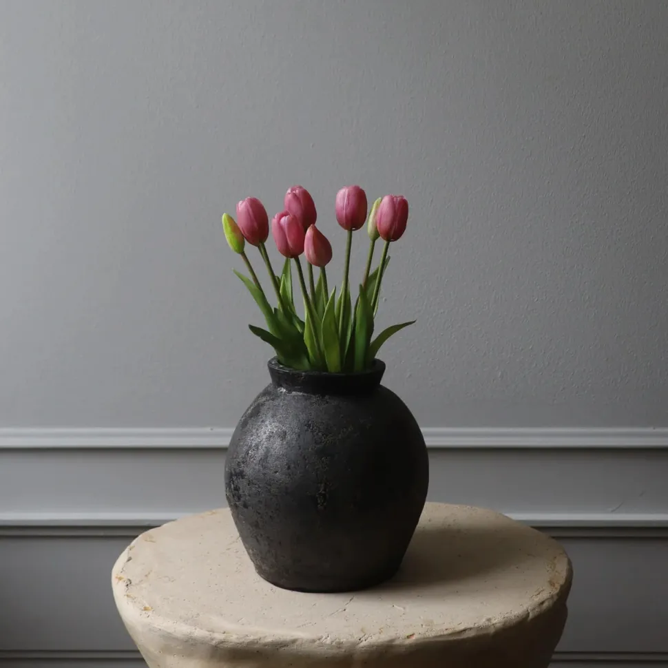 Botané Studios Tulip Bundle Pink (5 pieces)