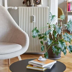 Hay AAL 93 Loungestol Hallingdal 220