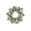 House Doctor Frost Wreath Green Large