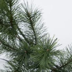 House Doctor Giant Wreath With LED Nature Large