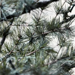 House Doctor Pin Christmas Tree With LED Nature Large