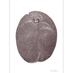 Monika Petersen Plum A5