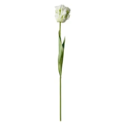 Okholm Studio Parrot Tulip Artificial Flower White