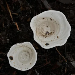 Studio Aarhus Ælling Espresso Kop