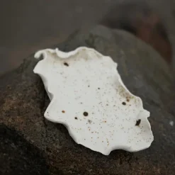 Studio Aarhus Reden Fad